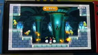 New Super Mario Bros. U Deluxe - Seriously! Fire, Bro! (Gold Medal)