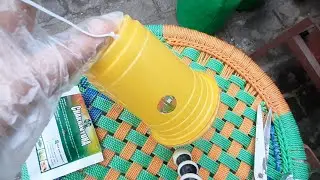 Installing fruit fly trap🦟 || Terrace Garden Ideas || My Happy Garden