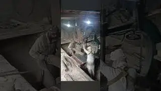Wood SAWMILLING Highlights |Wood Workshop|