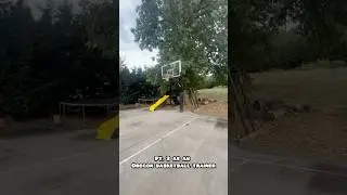 Home Court Reveal 🫣. #basketballtrainer #basketballshorts #personaltrainer #fitness #fypシ #shorts