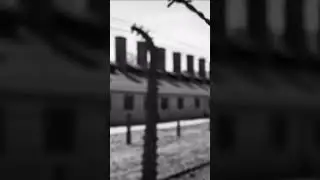 Astrology and Prophecy in Nazi Germany #shorts #astrology #seer #propecy #oracle #worldwar2 #strange