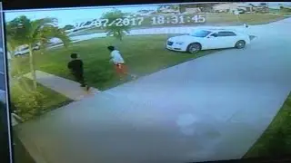 Mail theft caught on camera