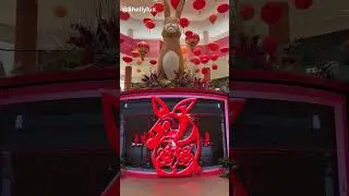 LUNAR NEW YEAR OF THE RABBIT 2023 LOUIS VUITTON SHOPPING SPREE/LUNAR NEW YEAR MALL TOUR
