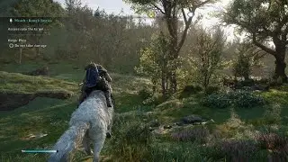 Assassin's Creed® Valhalla Double Trouble