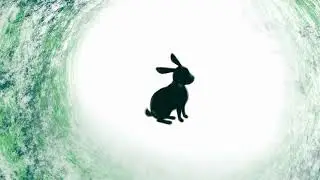 Spirit Animal Meditation for Children : Magical Rabbit