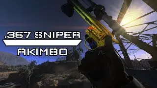Call of Duty modern warfare 2019  .357  SNIPER /AKIMBO.