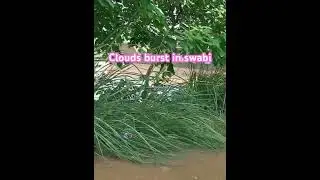 Heavy rain in swabi | Flood in Kp