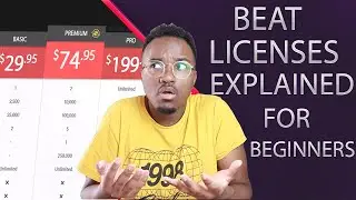 Beat Licenses Explained! For Beginners