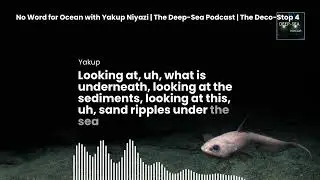 No Word for Ocean with Yakup Niyazi | The Deep-Sea Podcast | The Deco-Stop 4