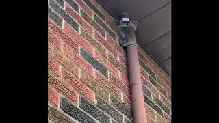 Mouse Climbs Wall and Can't Get Back In