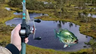 GIANT BASS Live HERE!?!?! (Funniest Video Yet) 