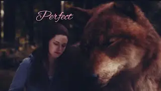 Twilight wolves ~ Perfect