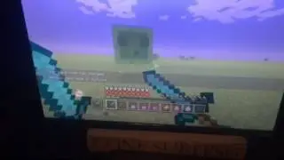 Minecraft console riding a polar bear & the dual wield sword blocking animation
