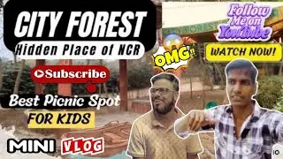 City Forest Park Gaziyabad | Zip Line Adventures in City Forest Gaziyabad Couple Park | Hidden River
