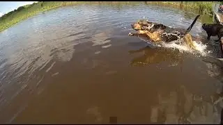 Orion Oaks Dogs Only Swim Area