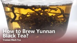 How to Brew Yunnan Black Tea？