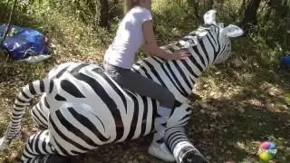 JL 025 Inflatable zebra and horse
