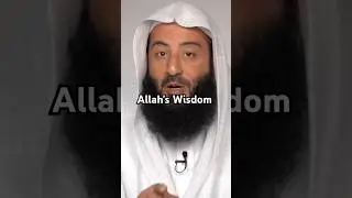 Trust the wisdom of Allah ☝️ 🤍 #allah #islam #muslim #quran #wahajtarin
