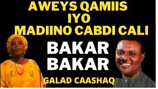 BAKAR BAKAR AWEYS QAMIIS IYO MADIINO CABDI CALI