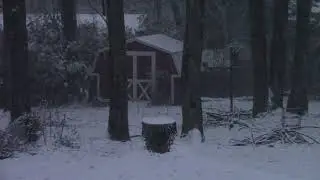 Snowy Backyard with the Sunsetting