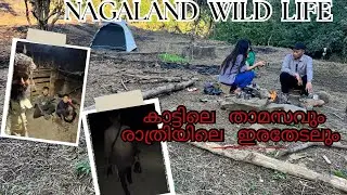 EP 243 | KONYAK TRIBE | We went hunting at night | With these people, anything can happen in the ...