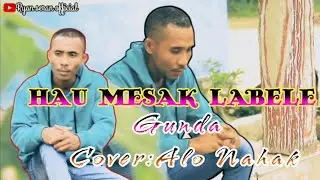 Lagu timor_Hau mesak labele(Gunda)#Cover_Alo Nahak