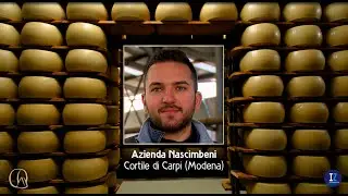Azienda Nascimbeni, Cortile di Carpi. Grande attenzione ai foraggi e al benessere animale