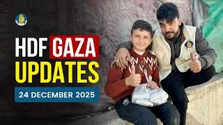 Обновленная информация от HDF Gaza | 24 декабря 2025 г.