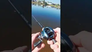 River Fishing HACK! Catch MORE FISH! #shorts
