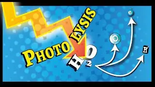 Photolysis | How light splits water | A Level Biology