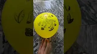 POV: Green Smiley Balloon 😀 VS Yellow Zebra Balloon 🦓💦 | ASMR Drop Test in 4K🎈