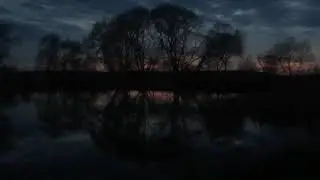 26 апреля 2021 г.