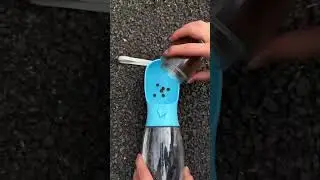 Dog Water Bottle #trending #shorts
