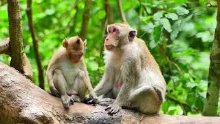 Lovely Jonna action nearly mommy Jane, So peaceful family