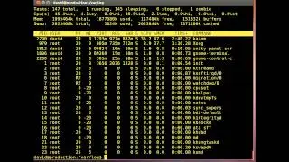 LINUX Top Command