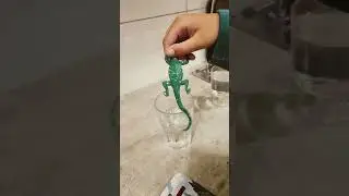 🦎 Color changing lizard 🦎