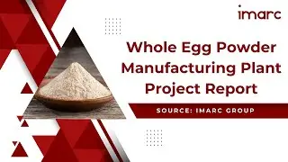 How to Setup a Whole Egg Powder Manufacturing Plant: Detailed Report 2025