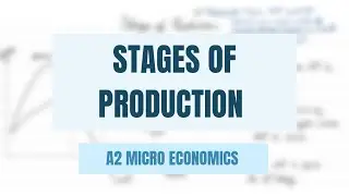 Stages Of Production - Short Run