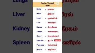 Organs names in Tamil