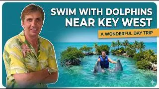 Florida Keys Dolphin Swim Van Service