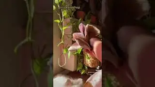 Washing my Reusable Cotton Rounds | Laundry day | Eco friendly