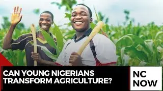 Young Nigerians Urged to Drive Agriculture's Revival