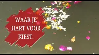 Waar je hart voor kiest