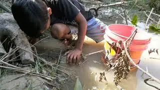 Primitive Fishing In Rain Water | Primitive Technology | Primitive Survival #fishing #shorts