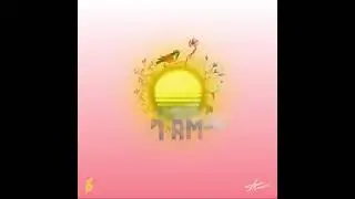 Upcoming Pop Music Artists 📍 Toronto, Canada Am&egrave;lle - IDK (Official Single Release) 2021