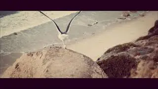 Alexis - Roads (Official Video)
