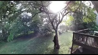 Young Bear&rsquo;s Backyard Spa Day &ndash; Stretch, Scratch & Stroll | Asheville Morning Encounter