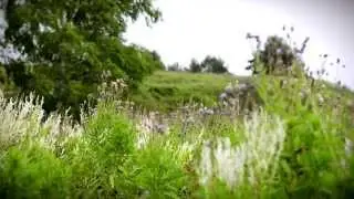 Environment of the Moscow region / Russian voice over