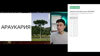 Условие Фано и Алгоритм Хаффмана | Задание 4. Кодирование