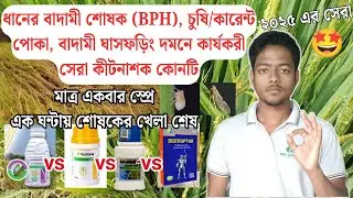 ধানের শোষক (BPH) পোকার দমনের জন্য এই বছরের সেরা কীটনাশক 🤔১ স্প্রে-তেই ১০০% কাজ pexalon,vestoria pro